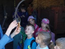 5025489521168979865029960554939101115232610n